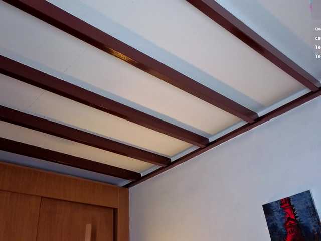 Brielaveneno