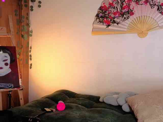 Brielaveneno webcam