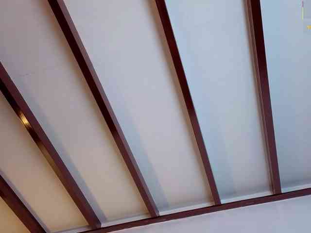 Brielaveneno webcam