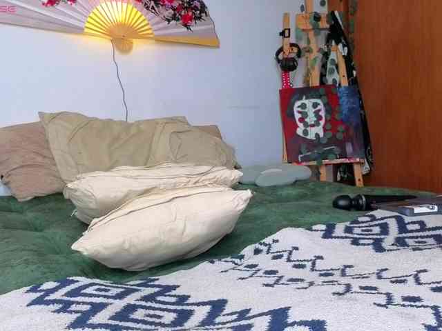 Brielaveneno webcam