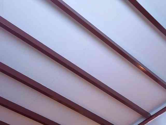 Brielaveneno webcam