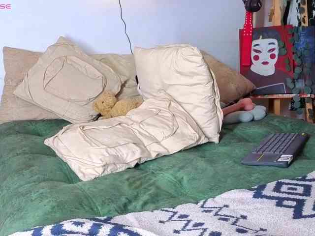 Brielaveneno webcam
