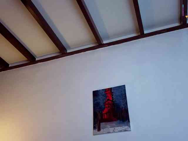 Brielaveneno webcam