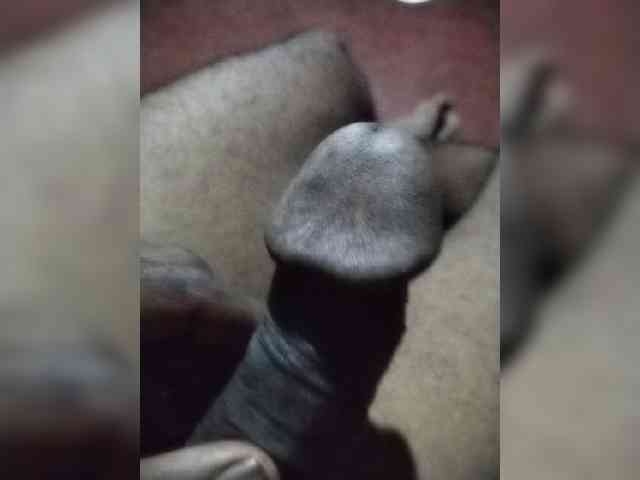 Slgay11