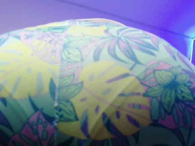Kandyparis webcam