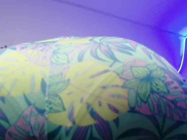 Kandyparis webcam