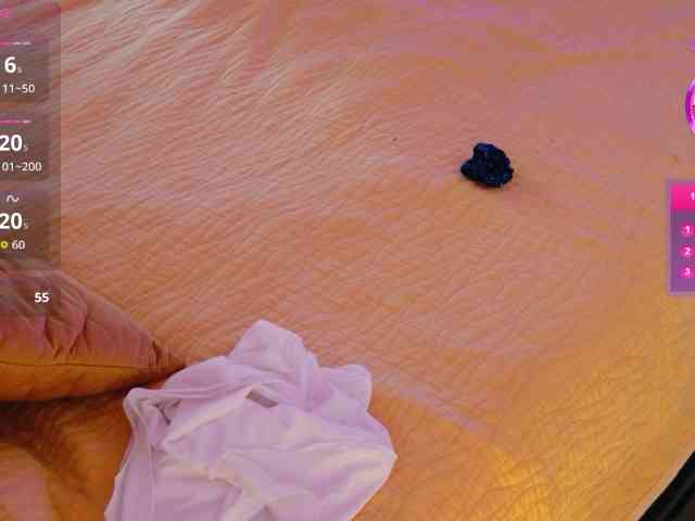 ViktoriaSillk Live Webcam on BongaCams