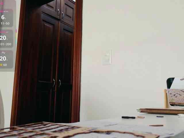 ViktoriaSillk webcam