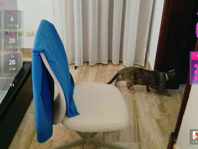 ViktoriaSillk webcam