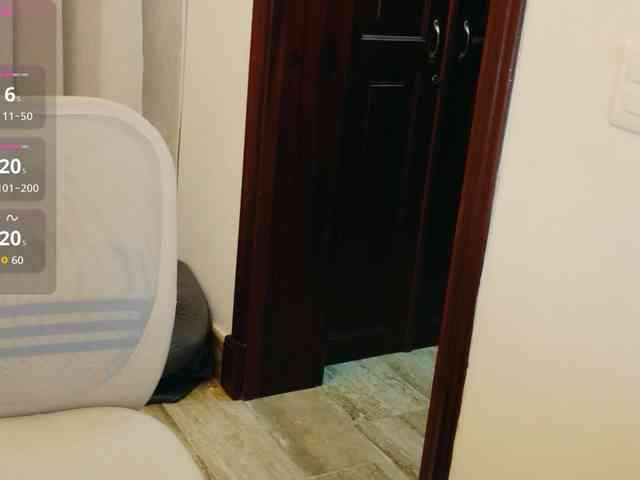 ViktoriaSillk webcam