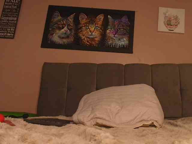モデル: KittyGang
