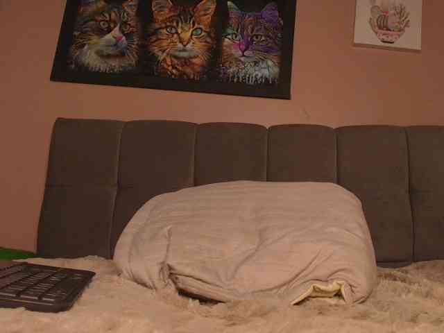 モデル: KittyGang