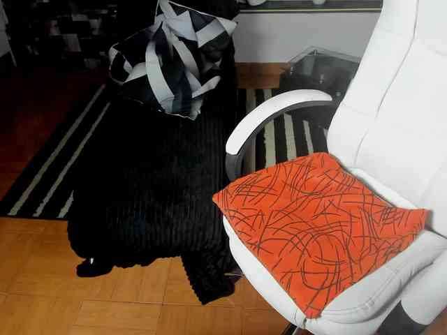 candy-girl30 webcam