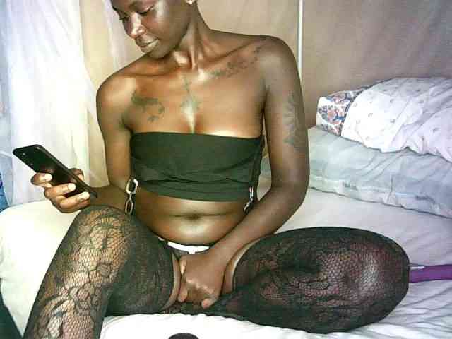 Lynnne webcam