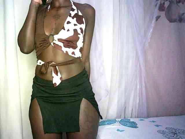 Lynnne webcam