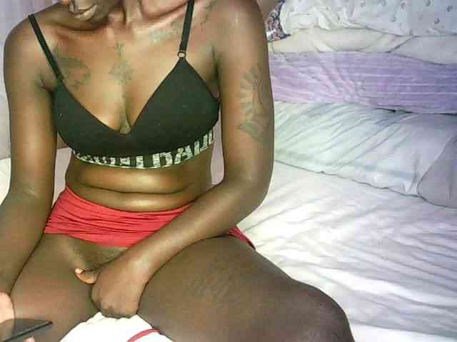 Lynnne webcam