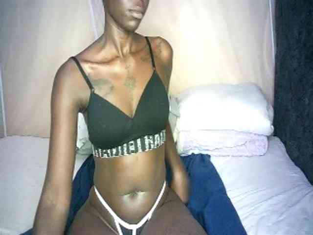 Lynnne webcam