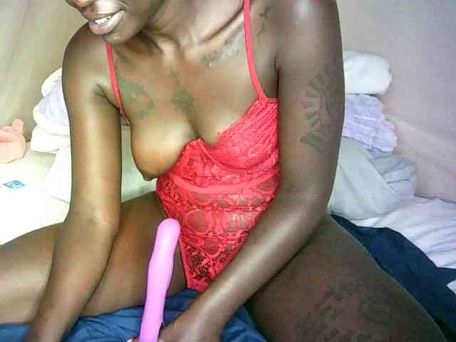 Lynnne webcam