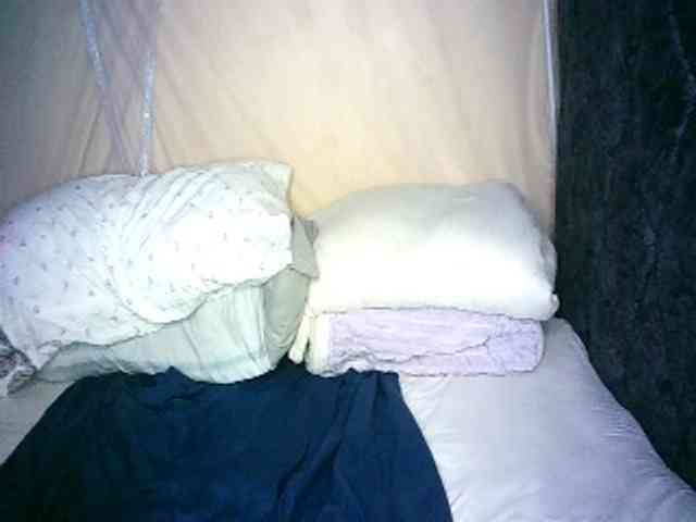 Lynnne webcam