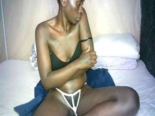 Lynnne webcam