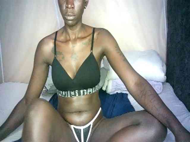 Lynnne webcam
