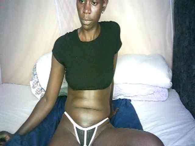 Lynnne webcam