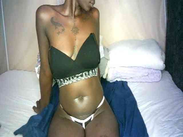 Lynnne webcam