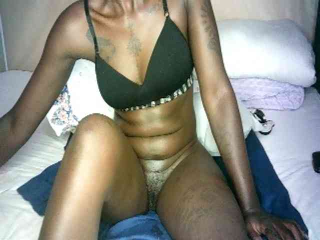 Lynnne webcam