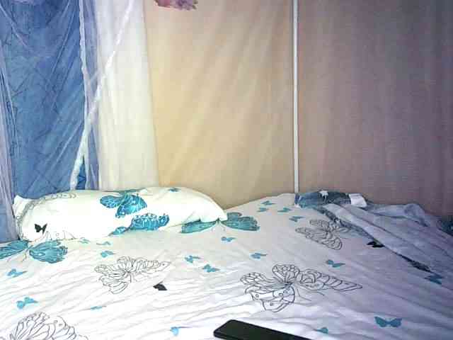 Lynnne webcam