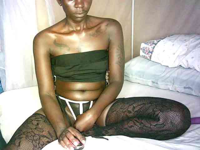 Lynnne webcam