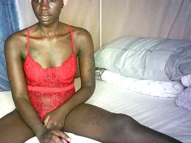 Lynnne webcam