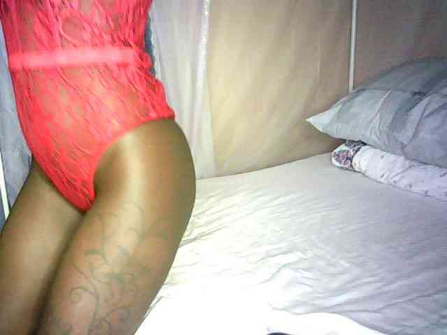 Lynnne webcam
