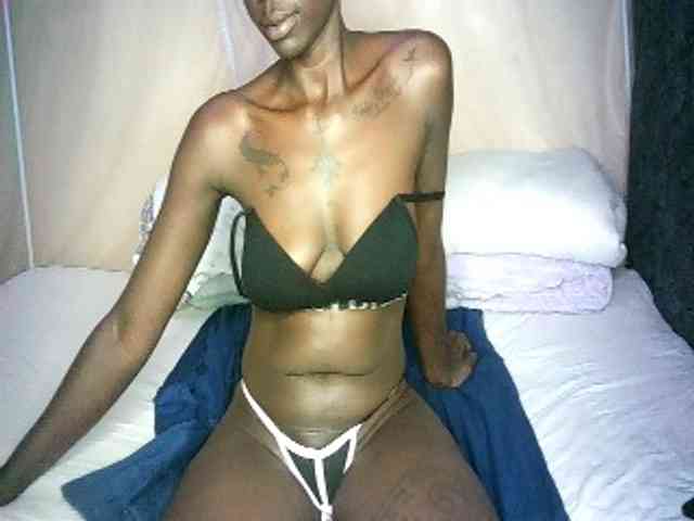 Lynnne webcam