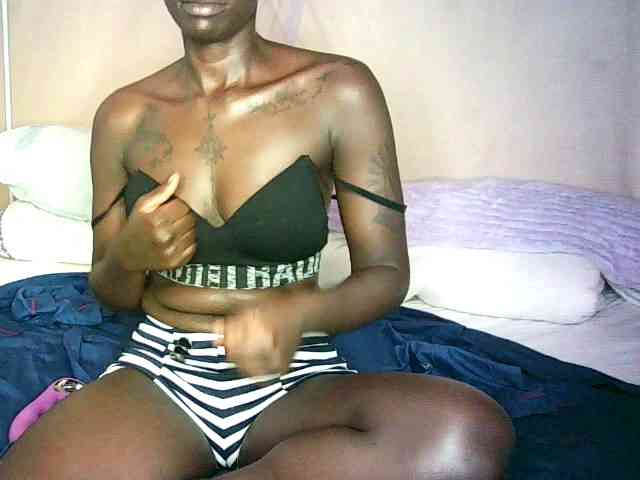 Lynnne webcam