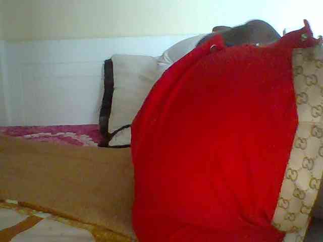 Curvygurl webcam