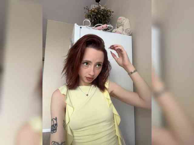 Joystickaa webcam