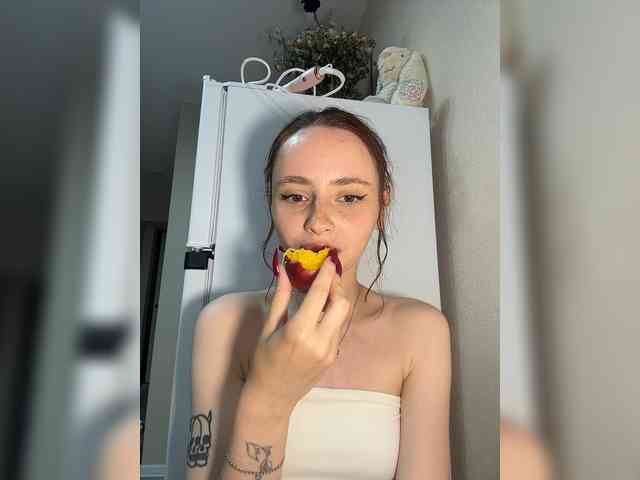 Joystickaa webcam