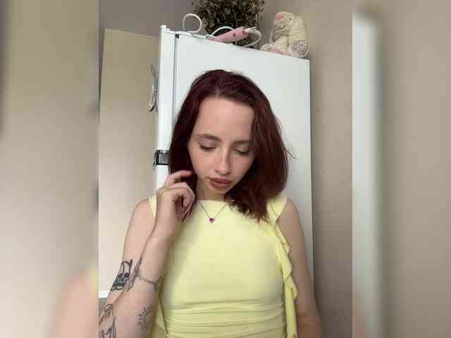 Joystickaa webcam