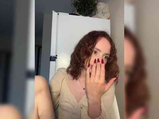 Joystickaa webcam