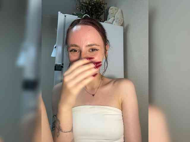 Joystickaa webcam