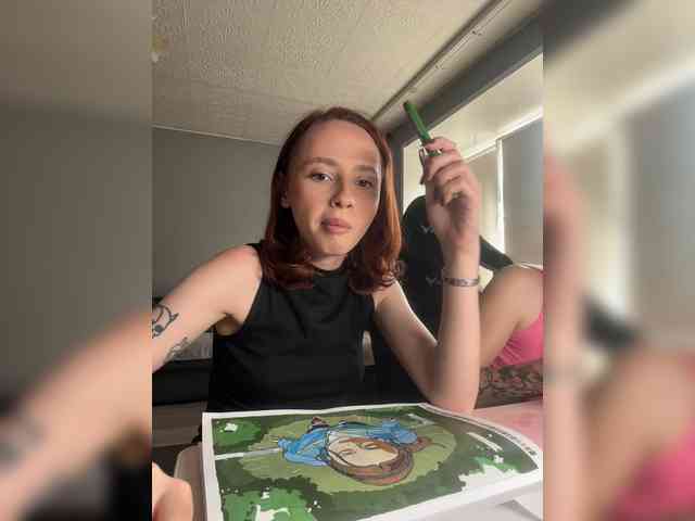 Joystickaa webcam