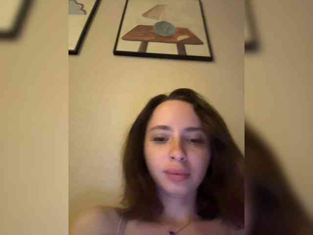 Joystickaa webcam