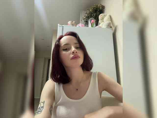 Joystickaa webcam