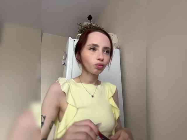 Joystickaa webcam