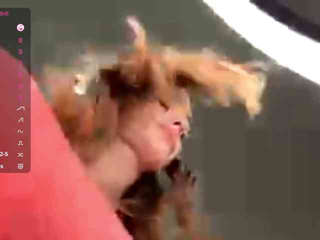 LudivinaCarrilo webcam