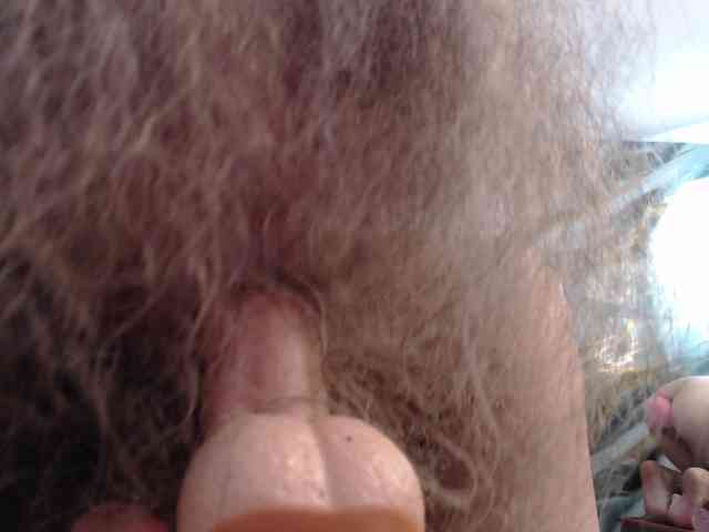 anymar webcam