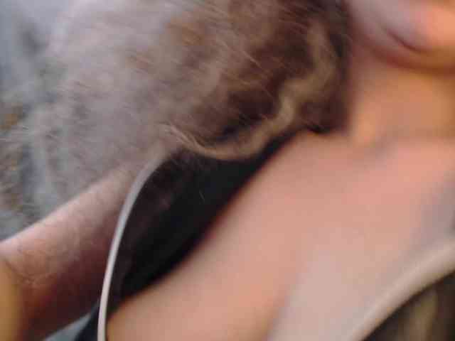 anymar webcam