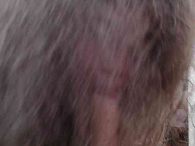 anymar webcam
