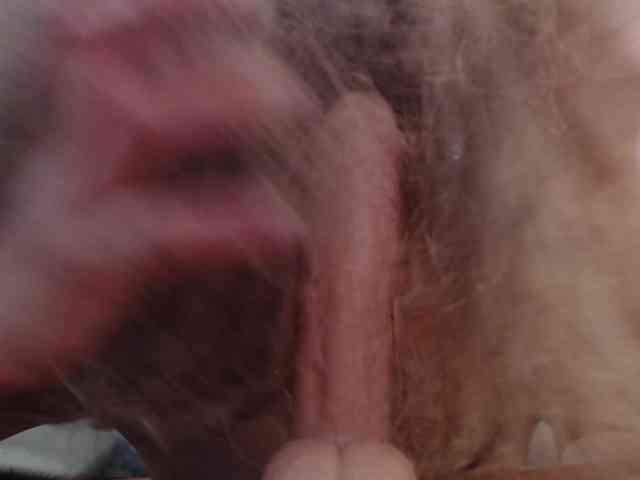 anymar webcam