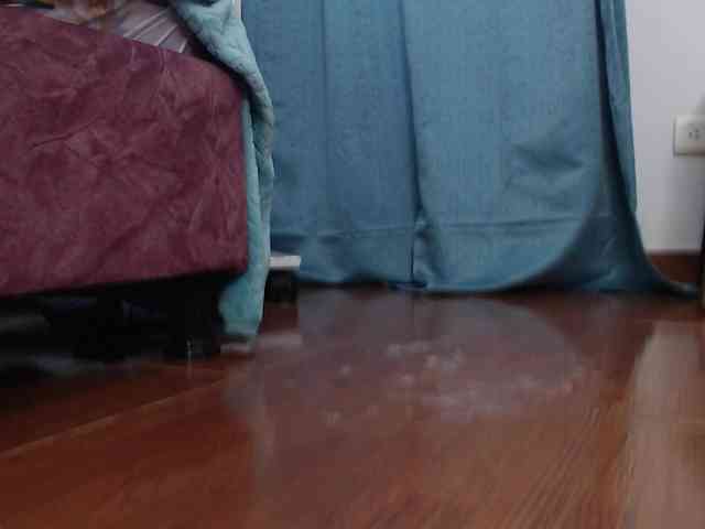 anymar webcam